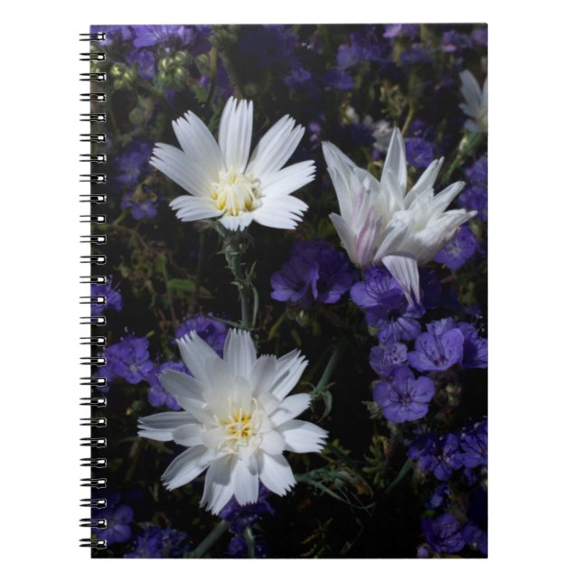 Chicorée und Phacelia-Wildblumen Notizblock (Vorderseite)
