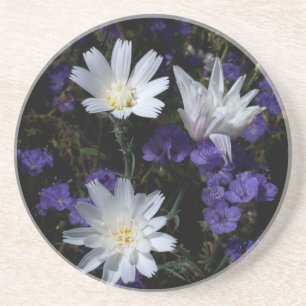 Chicorée und Phacelia Wildblumen Untersetzer