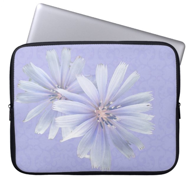Chicoroer Wildblume Laptopschutzhülle (Vorderseite)