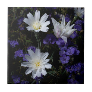Chicory und Phacelia Wildblumen Fliese