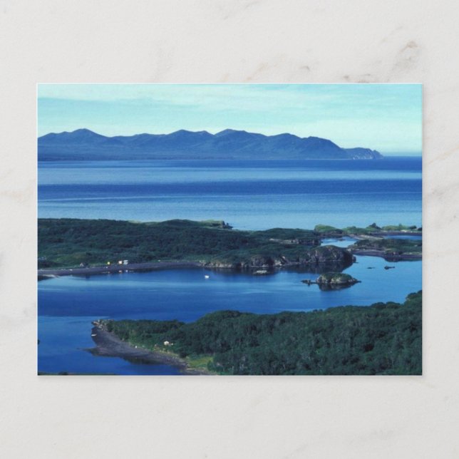 Chief Cove Kodiak Postkarte (Vorderseite)