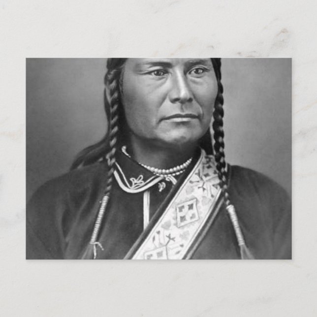 Chief Joseph Portrait 1880 Postkarte (Vorderseite)
