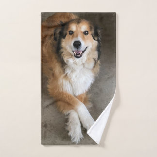Chien