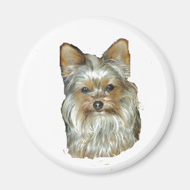Chien 4B, Yorkshire Terrier, Magnet (Devant)