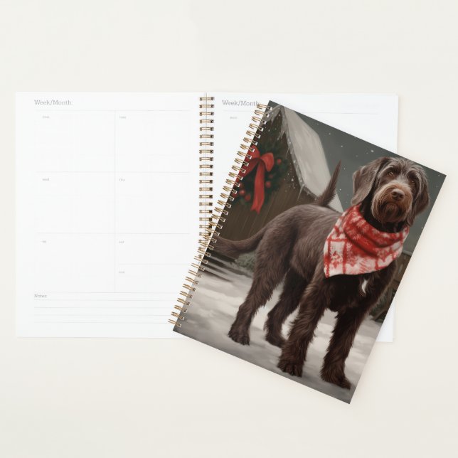 Chien à pointes à poils durs à Noël de neige (Devant avec enveloppe)