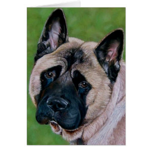 chien akita à visage noir