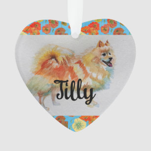 Chien allemand Spitz Pomeranian