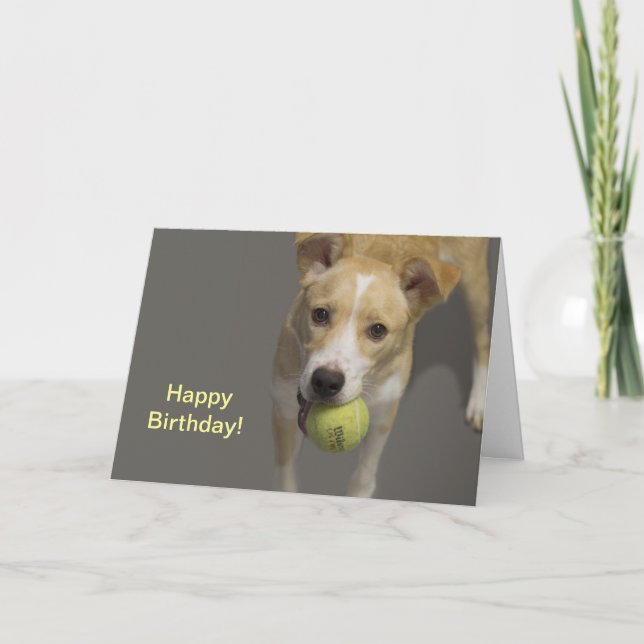 Chien Avec Tennis Ball Carte Anniversaire (Devant)