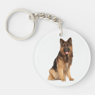 chien berger allemand, motif droit enveloppé, 