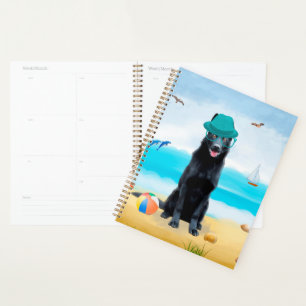 Chien berger allemand noir sur la plage