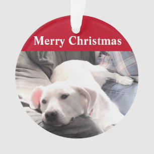 Chien blanc mignon avec papa Ornement rouge