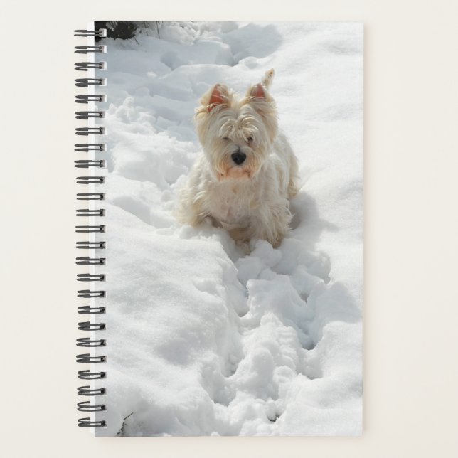 Chien blanc mignon dans le planificateur de neige (Devant)