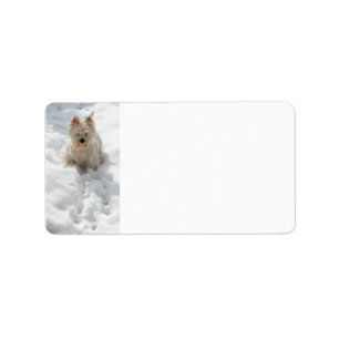 Chien blanc Westin en Étiquette de adresse de neig