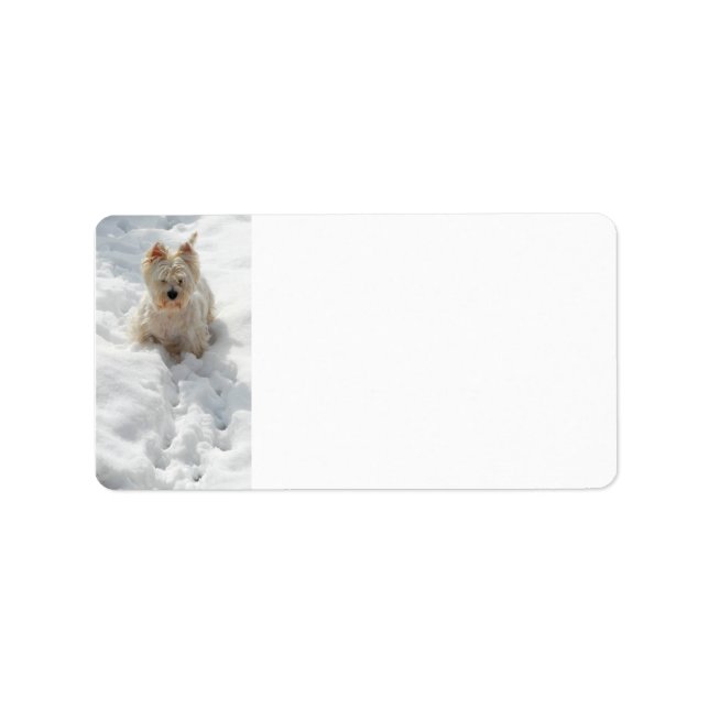 Chien blanc Westin en Étiquette de adresse de neig (Devant)