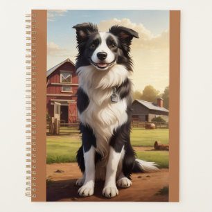 Chien Border Collie
