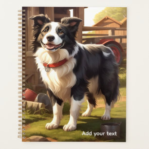 Chien Border Collie