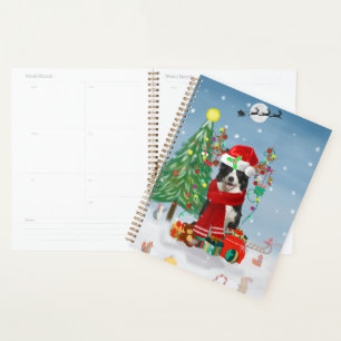 Chien Border Collie dans la neige avec des cadeaux