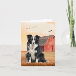 Chien Border Collie et Ranch de la Grange Rouge