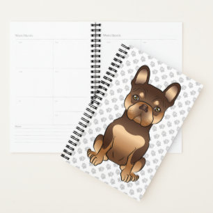 Chien Bouledogue Français Chocolat Et Tan Mignon C