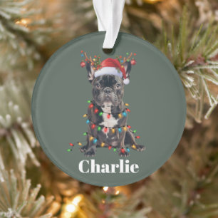 Chien Bouledogue Français de Noël Nom Personnalisé