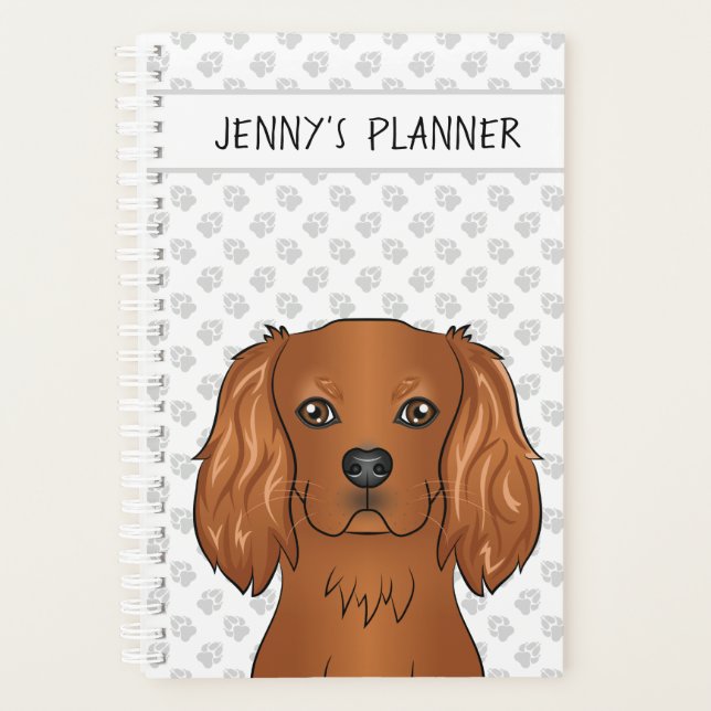 Chien Cavalier King Charles Spaniel Ruby & Titre (Devant)