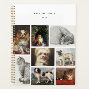 Chien Chat Animaux 8 Portrait Photo Gardien de col