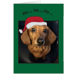 Chien Chien Chien Chien Ho Ho Carte de Noël
