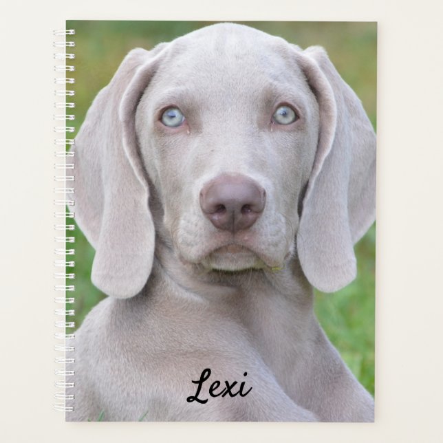 Chien coquelicot Weimaraner personnalisé (Devant)