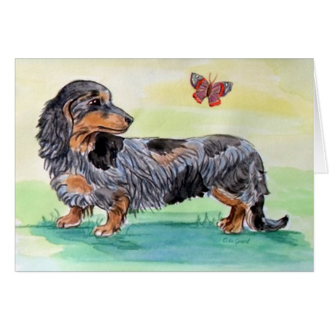 Chien Dachshund Avec Papillon (Devant horizontal)