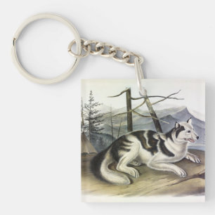 Chien d'Amérique (Chien du fleuve Mackenzie) par A