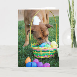 Chien dans la carte de Pâques de panier