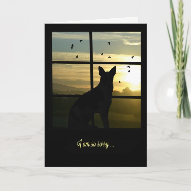 Chien dans la fenêtre Chien Carte de Sympathie (Devant)