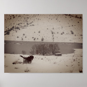 Chien dans la neige Valeur Poster Papier