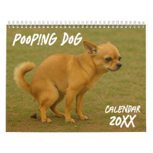 Chien de baleines calendrier 2026