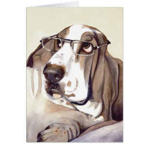 Chien de basset-hound peint dans la couleur pour