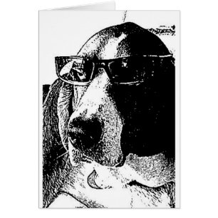 Chien de basset vraiment frais