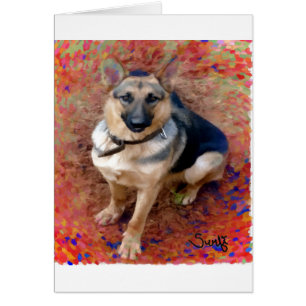 Chien de berger allemand