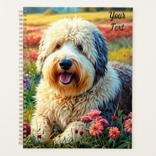 Chien de berger anglais ancien