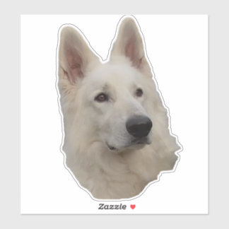 Chien de berger blanc Tête Autocollant