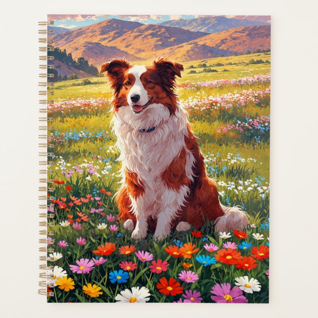 Chien de berger Border Collie (Devant)