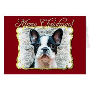 Chien de bouledogue français