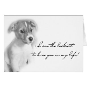 Chien de chiot