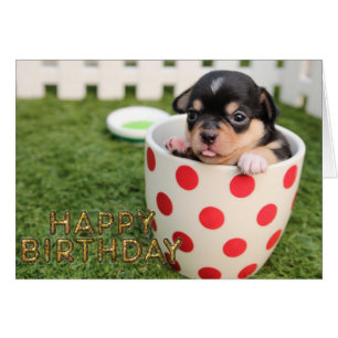 Chien de chiot mignon