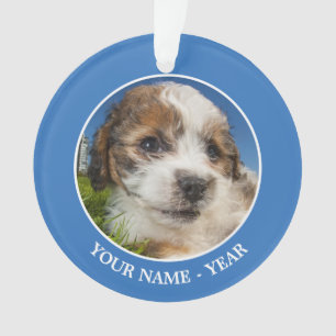 Chien de chiot mou (Shitzu)