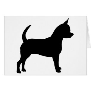 Chien de chiwawa