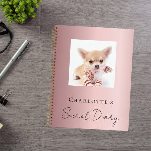 Chien de journal animal photo rose