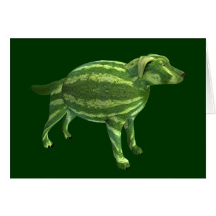Chien de la Journée nationale de la pastèque