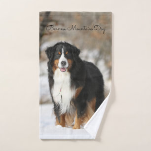 Chien de montagne bernois
