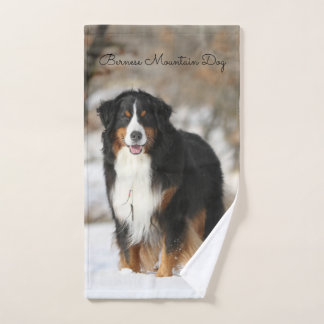 Chien de montagne bernois