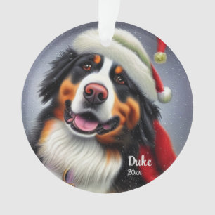 Chien de montagne bernois, Chien de Père Noël, Orn